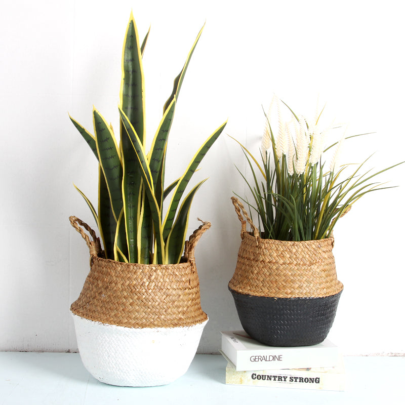 Planters / Baskets
