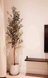 Enhance Your Home Decor with a 6.9 ft Faux Olive Tree featuring a Realistic Trunk - Chic Collezione 