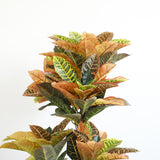 Radiant Croton Delight Artificial Plant - Chic Collezione 