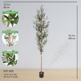 Olive Tree 6.9 ft - 1297 Leaves - Chic Collezione 