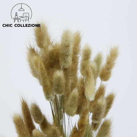 Chic Collezione Bunny Tails - Pampa natural color