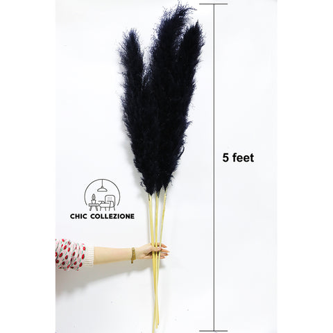 Chic Collezione All Black 5ft Pampa (Set of 3 Stems)