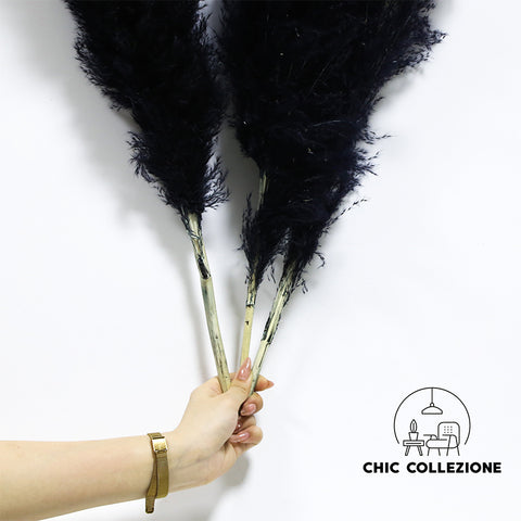 Chic Collezione All Black 5ft Pampa (Set of 3 Stems)