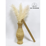 Chic Collezione All Golden 5ft Pampa (Set of 3 Stems)