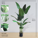 Chic Collezione Bird of Paradise 200 cm - 14 Leaves 6.5Ft Tall