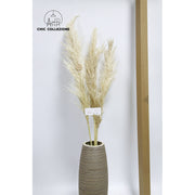Chic Collezione Natural Male Pampa 5ft (Set of 3 Stems)