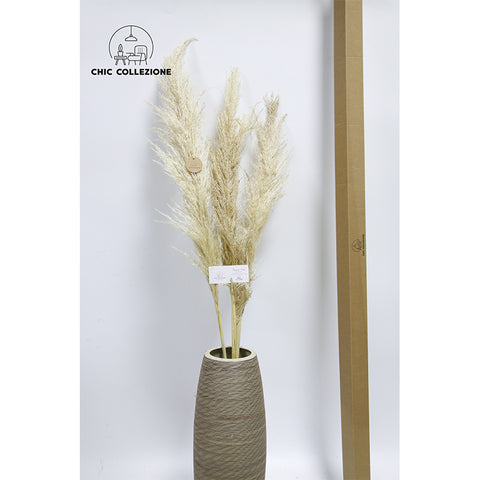 Chic Collezione Natural Male Pampa 5ft (Set of 3 Stems)