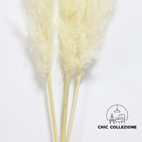 Chic Collezione All Beige 5ft Pampa (Set of 3 Stems)