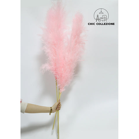 Chic Collezione All Pink 5ft Pampa (Set of 3 Stems)