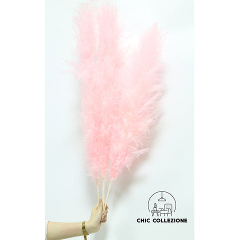 Chic Collezione All Pink 5ft Pampa (Set of 3 Stems)