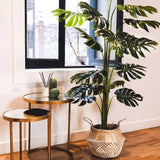 Chic Collezione Monstera Plant - 15 Leaves 5.9 Ft Tall