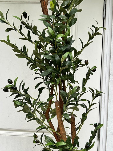 Chic Collezione Olive Tree 6.8 ft - 1197 Leaves