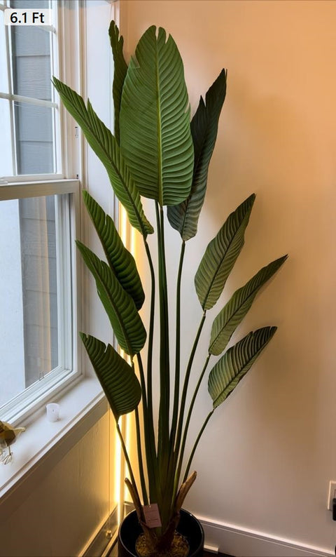 Chic Collezione Lux Bird of Paradise 185cm - 10 Leaves
