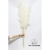 Chic Collezione All White 5ft Pampa (Set of 3 Stems)
