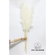 Chic Collezione All White 5ft Pampa (Set of 3 Stems)