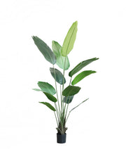 Chic Collezione Bird of Paradise 180cm - 12 leaves 5.9 Ft Tall