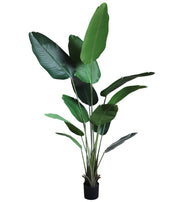 Chic Collezione Bird of Paradise 200 cm - 14 Leaves 6.5Ft Tall
