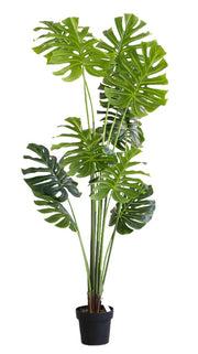 Chic Collezione Monstera Plant - 15 Leaves 5.9 Ft Tall